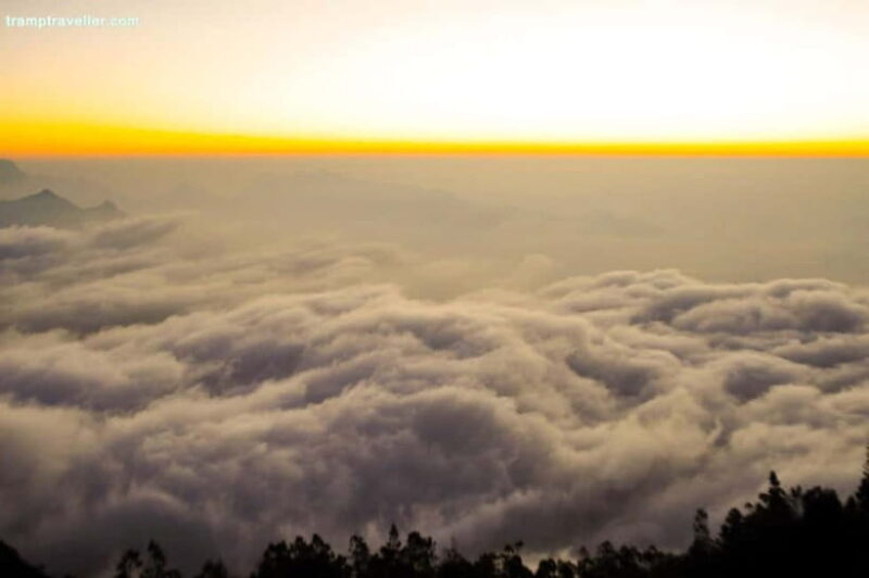 Munnar: Chokramudi Peak Full-Day Trekking Tour - Why This Tour Is a Must-Do