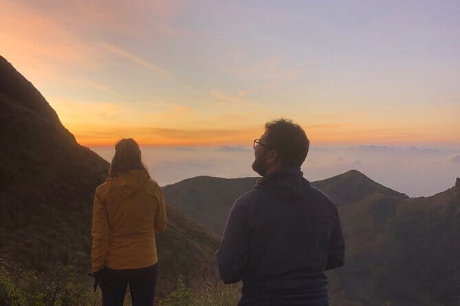 Munnar Daily Tour - An Overview of the Experience