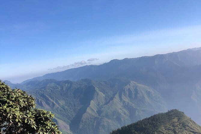 Munnar Daily Tour - Transport, Timing, and Group Size