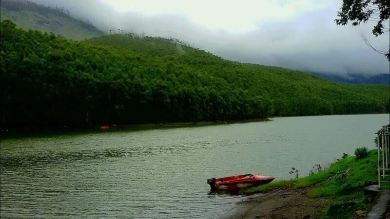 Munnar: Jeep Safari to Vattavada Village - Authentic Feedback from Travelers