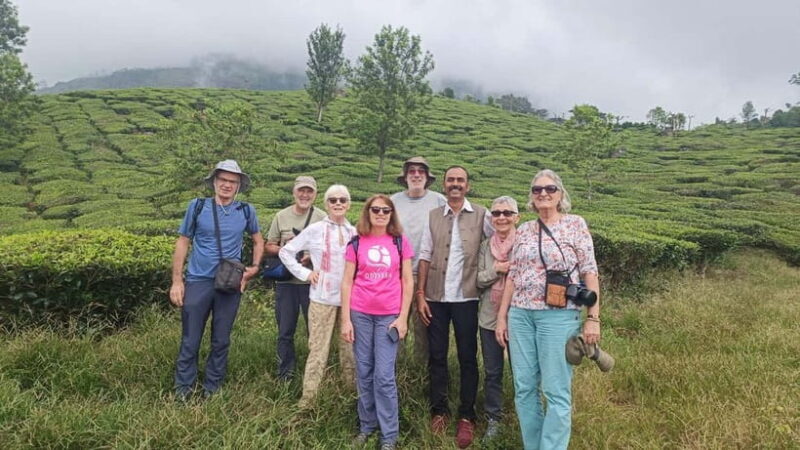 Munnar Nature Walk - Key Points