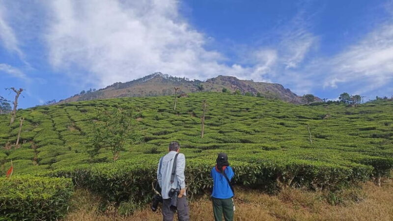 Munnar Nature Walk - Exploring Munnar Nature Walk: A Deep Dive