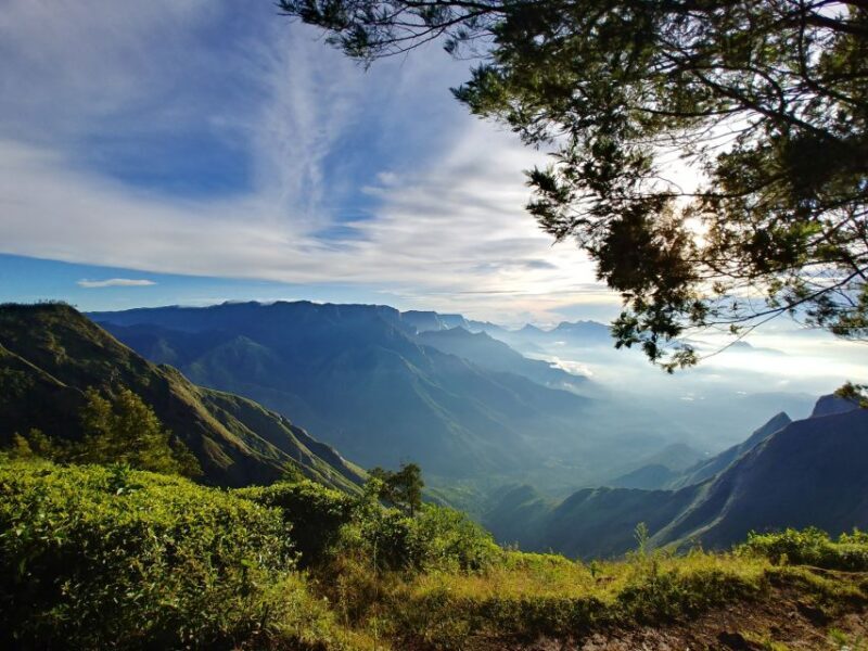 Munnar Private Day Trip - Returning in Comfort