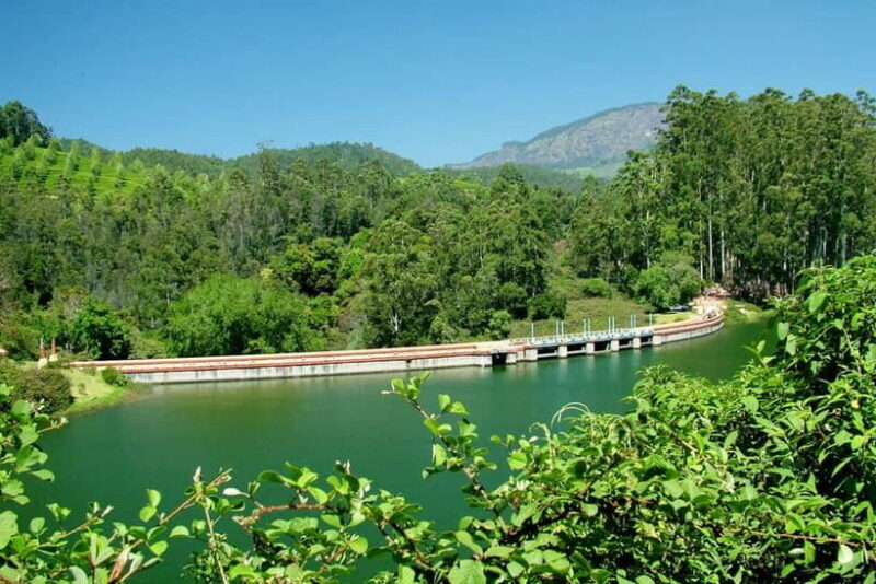 Munnar site-seeing Tour - What’s Included and What’s Not