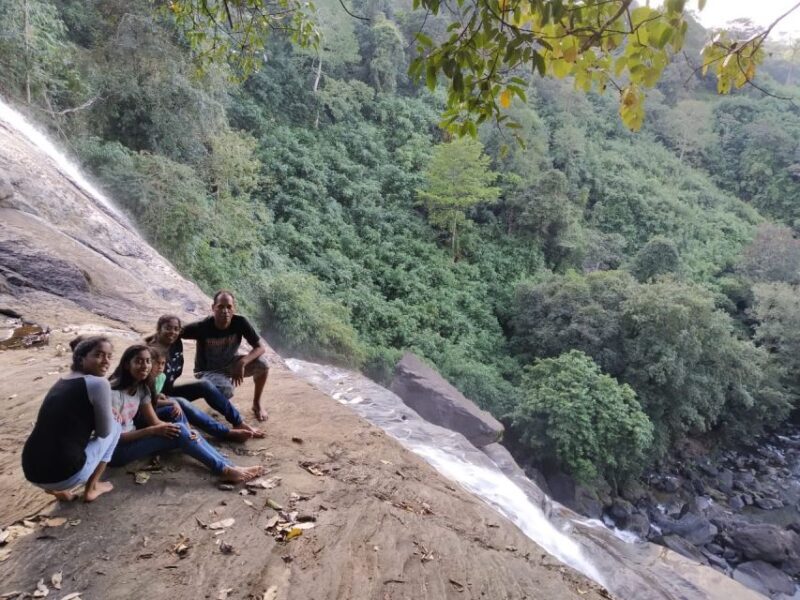 Munnar: Tea Garden and Elephant Safari Trip by 4x4 - What to Expect from the Tour