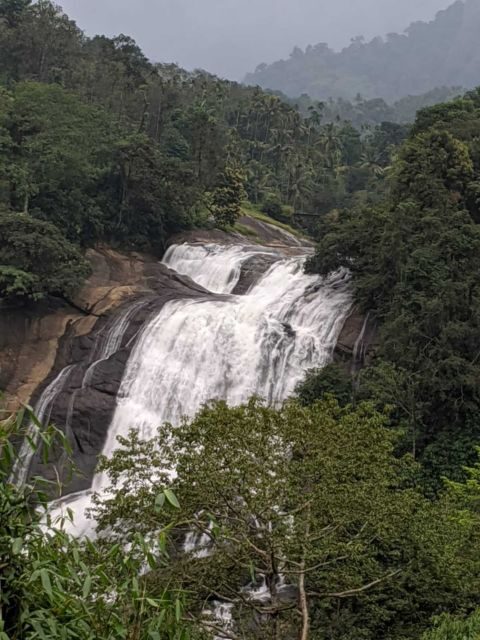 Munnar: Tea Garden and Elephant Safari Trip by 4x4 - The Experience in Detail