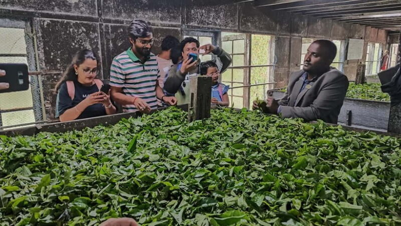Munnar: Tea trail, Tea Factory, and Tea Tasting Tour - An In-Depth Look at the Tour