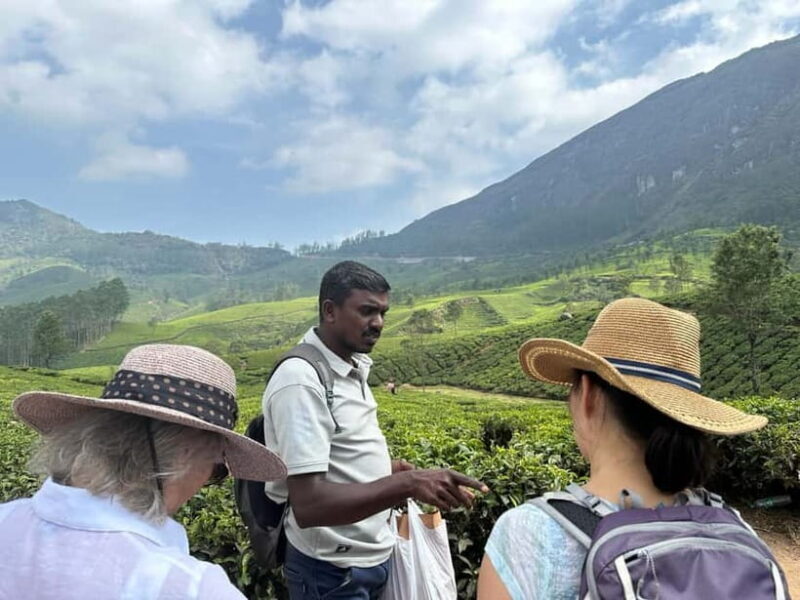 Munnar: Tea trail, Tea Factory, and Tea Tasting Tour - Authenticity and Guide Quality