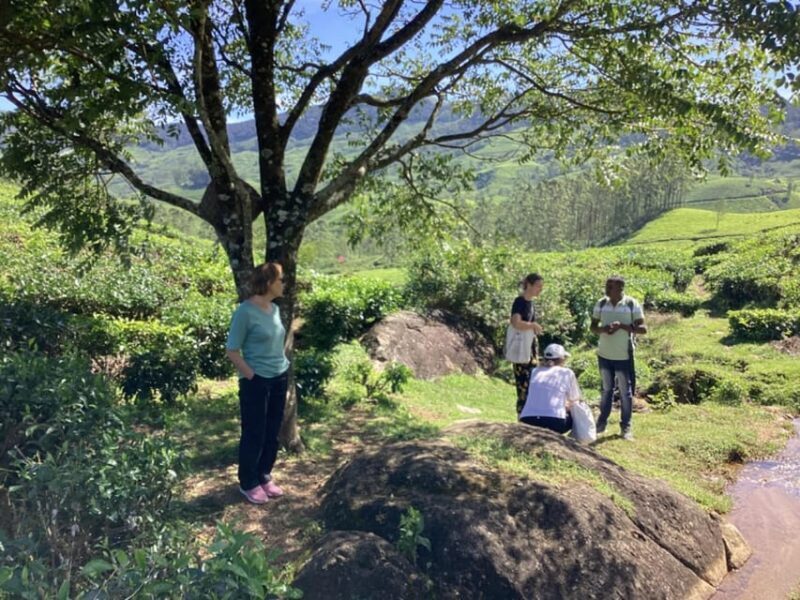 Munnar: Tea trail, Tea Factory, and Tea Tasting Tour - Final Thoughts