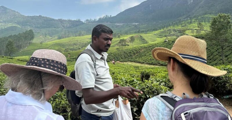 Munnar: Tea trail, Tea Factory, and Tea Tasting Tour - Who Should Consider This Tour?