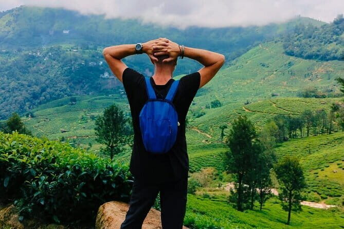 Munnar Tea Trail Tour , Tea factory visit & Tea Tasting - Key Points