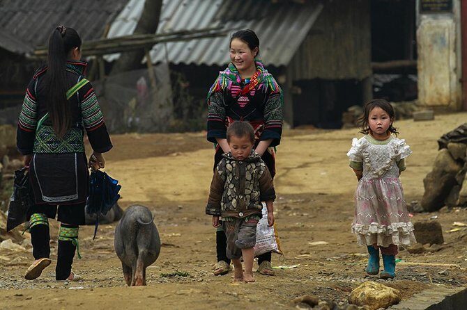 Muong Hoa Valley Trek & Homestay Experience - 4D3N - What the Tour Includes and What to Consider