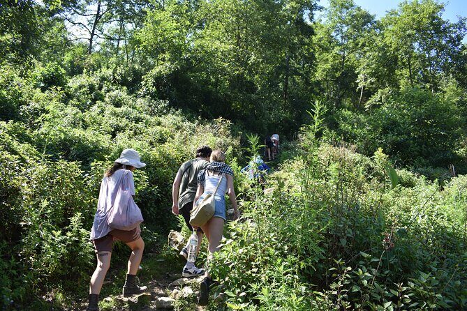 Muong Hoa Valley View & Village Trek in Sapa 1 Day - The Walks and Terrain