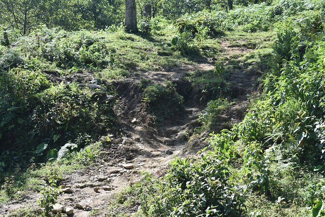 Muong Hoa Valley View & Village Trek in Sapa 1 Day - FAQs