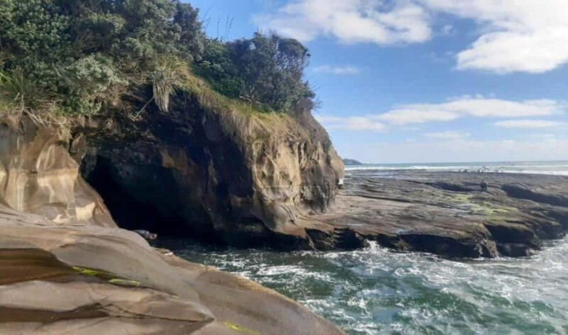 Muriwai Beach & Gannet Colony Private Tour - Motutara Island and Scenic Lookouts