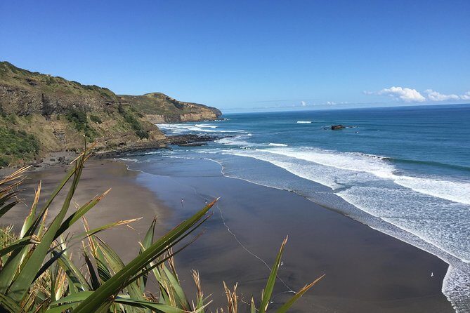 Muriwai Scenic Wine Tour from Auckland - Who This Tour Is Best For