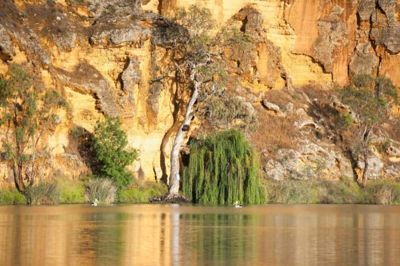 Murray River Highlights and Luncheon Cruise - An Authentic Day on the Murray River