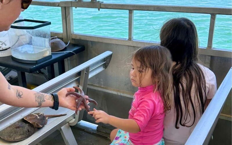 Murrells Inlet: Saltwater Marsh Eco Tour w/ Marine Biologist - Who Will Love This Tour?