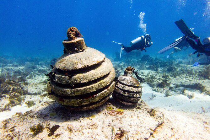 MUSA Museum and Colorful Reef 2 Tank Dive-Certified Divers - An In-Depth Look at the Tour Experience