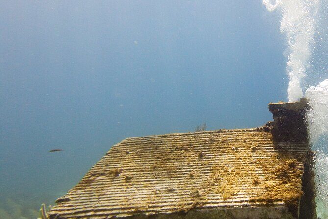MUSA Museum and Colorful Reef 2 Tank Dive-Certified Divers - Frequently Asked Questions