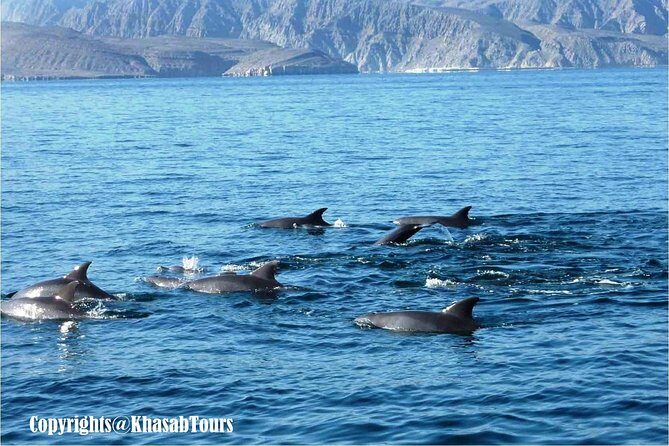 Musandam Khasab Day Trip and Dhow Cruise from Dubai - Focusing on the Coastal and Mountain Views