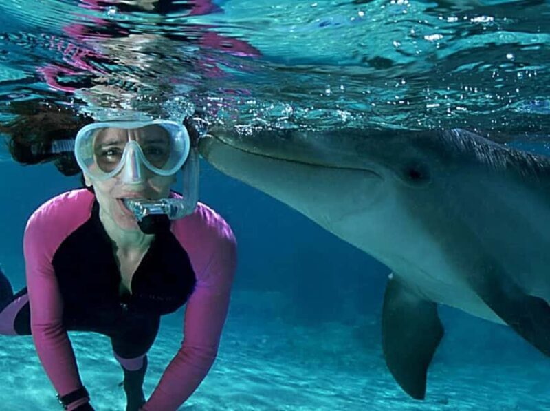Muscat: 4-Hour Snorkeling Tour with Dolphin watching - Final Thoughts: Who Is This Tour Best For?