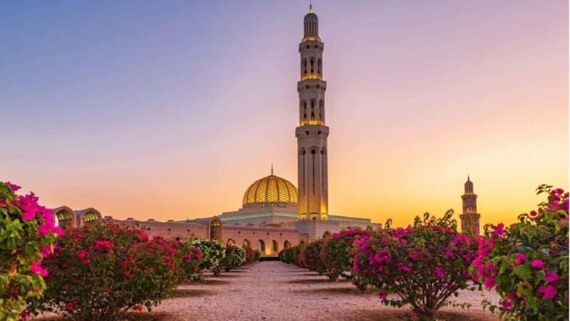 Muscat: Amazing Muscat City Tour Full Day with Omani Guide - Key Points
