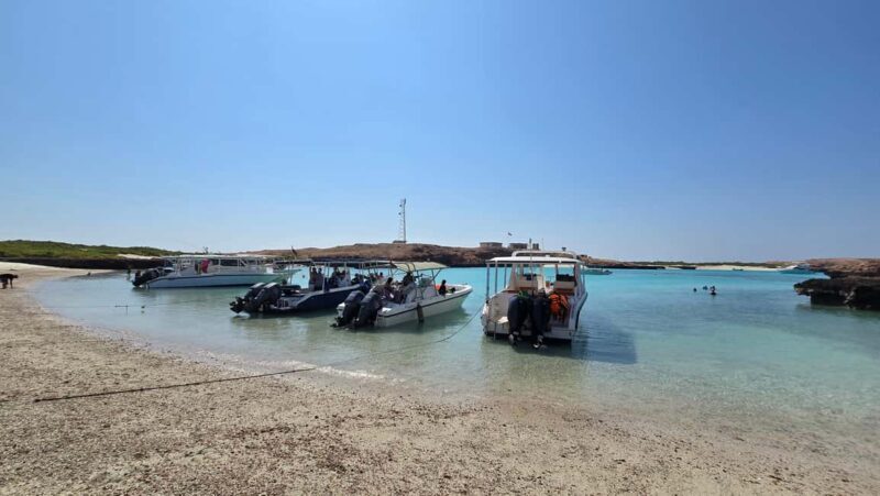 Muscat: Daymaniat Islands Boat Trip with Snorkelling - The Sum Up