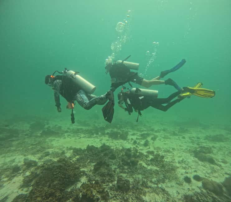 Muscat: Daymaniat Islands Try Scuba Diving - The Marine Wonders You Might Encounter