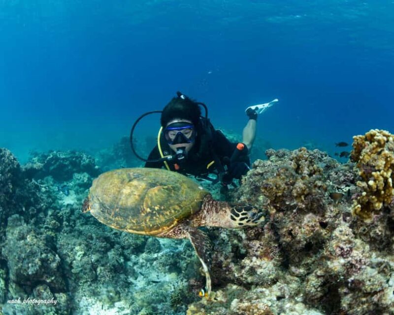 MUSCAT: Daymaniyat Island Snorkeling & Try-Dive + BBQ Lunch - An In-Depth Look at the Experience