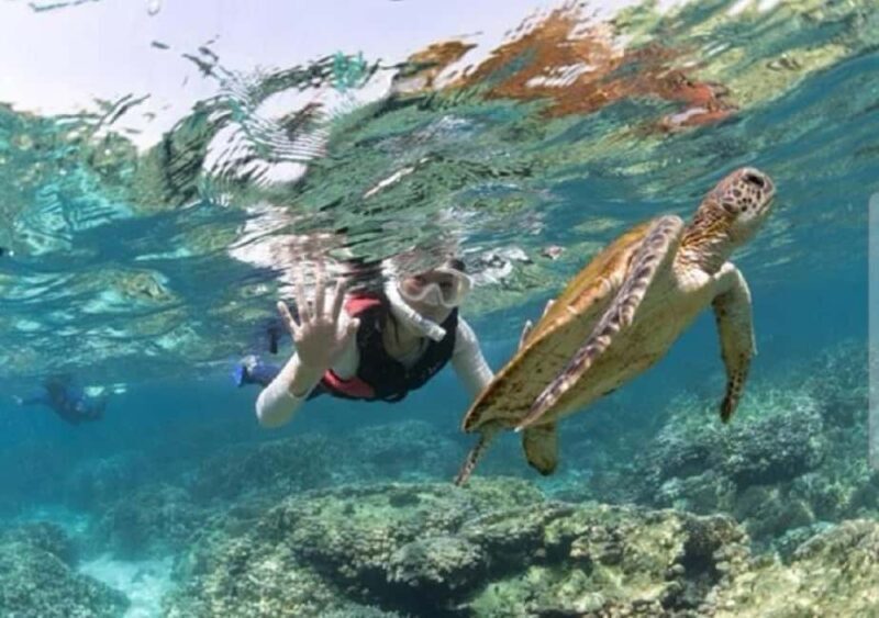 Muscat: Daymaniyat Islands Snorkeling Trip with BBQ Lunch - A Detailed Look at the Snorkeling Adventure