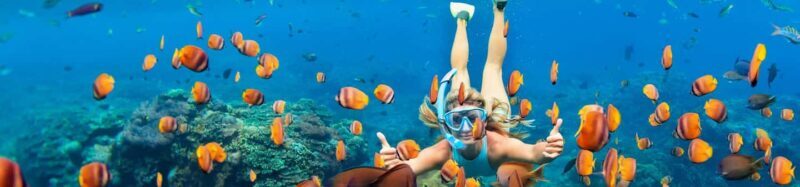 Muscat: Daymaniyat Islands Snorkeling Trip with Lunch - Practical Tips for Travelers