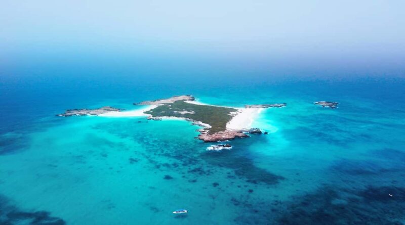 Muscat: Daymaniyat Islands Snorkeling Trip with QTours - Practical Details and Tips