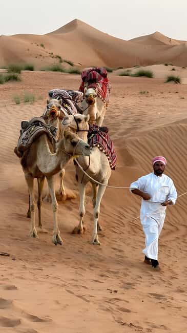 Muscat: Desert & Wadi Bani Khalid Tour with Quad Bike Option - Introduction: What You Can Expect from the Tour