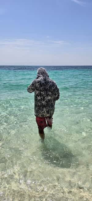 Muscat: Dolphin Watch & Snorkeling - Key Points