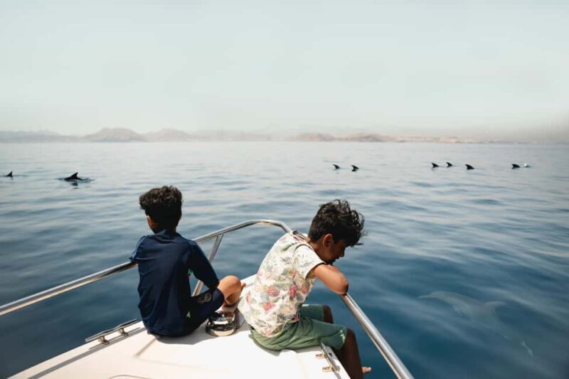 Muscat: Dolphin Watching Boat Tour - An In-Depth Look at the Dolphin Watching Experience
