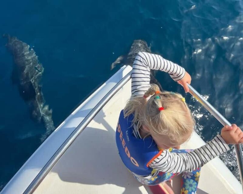 Muscat: Dolphin Watching Boat Trip with Snacks - Key Points