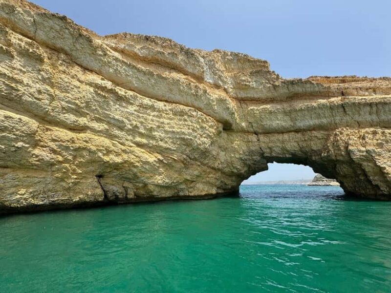 Muscat: Dolphin Watching Boat Trip with Snacks - Value and Pricing