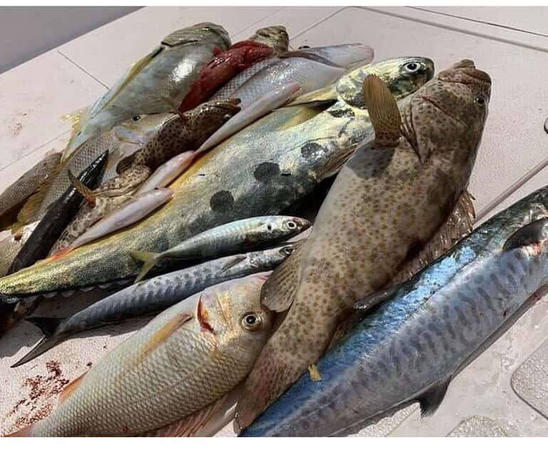 Muscat: Fishing Trip with Equipments - The Itinerary and What to Expect