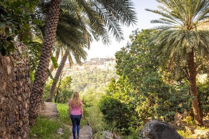 Muscat: Nizwa Market & Fort, Jabel Akhdar Full-Day Tour + Lunch - An Introduction to the Experience