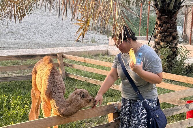 Muscat: Nizwa Market & Fort, Jabel Akhdar Full-Day Tour + Lunch - Transportation, Timing, and Overall Value