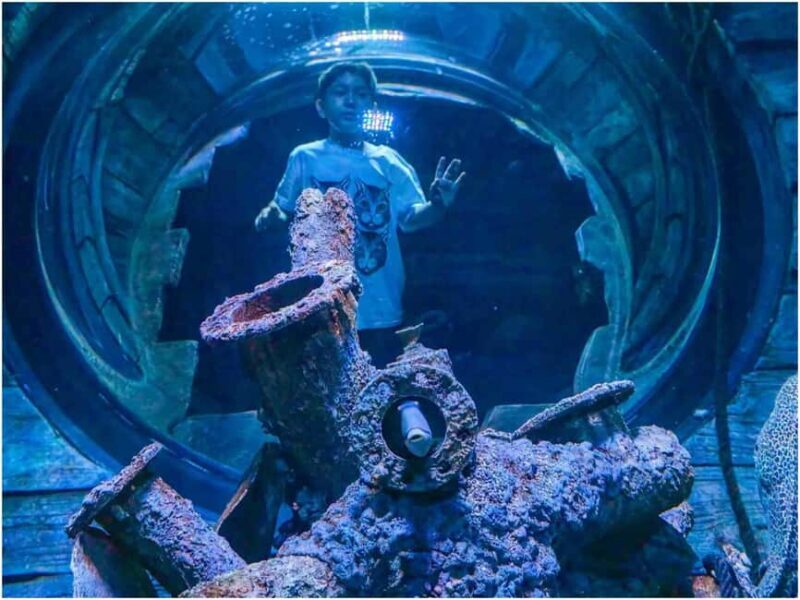 Muscat: Oman Aquarium Entry Ticket - Exploring Oman Aquarium: A Marine Adventure in Muscat