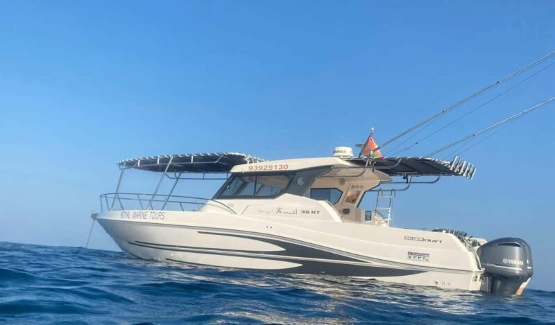 Muscat Oman: Snorkeling adventure to Daymaniyat Island - Who Will Love This Tour?