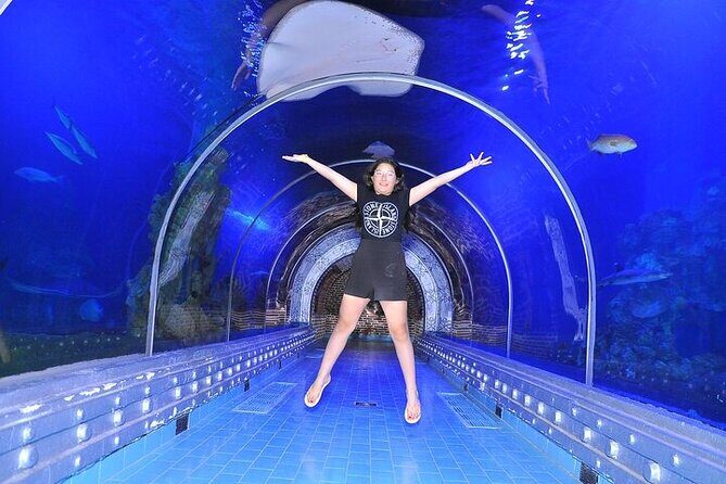 Museum Grand Aquarium from Hurghada - The Sum Up