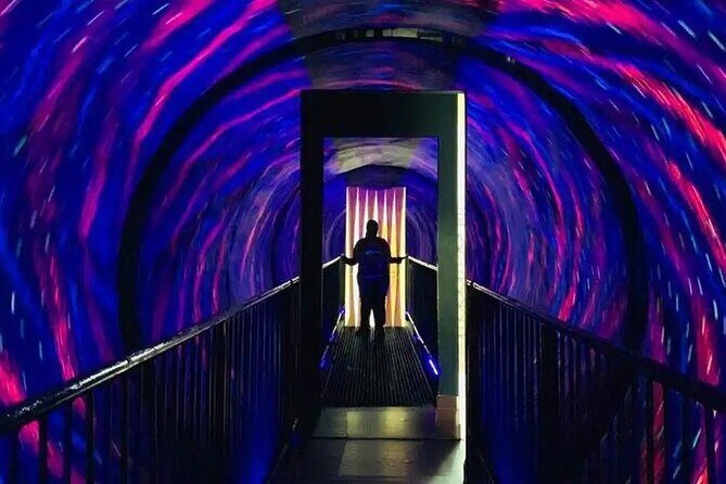 Museum of Illusions Dubai Tickets - Who Should Visit?