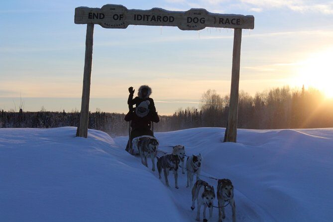 Mush Your Own Sled Dog Team (Winter Tour) in Talkeetna, Alaska - What Makes This Tour Special?