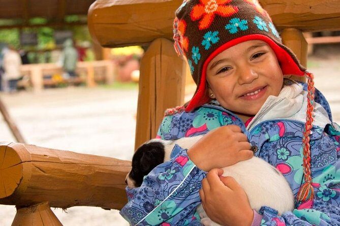 Musher's Camp and S'more Roasting Experience - Who Will Appreciate This Tour?