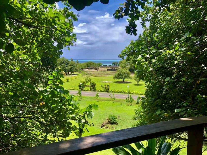 Must-Do : Nature, Culture & Moments Uniques MirimirI Tours - Discovering Raiatea with Mirimiri Tours: A Detailed Review