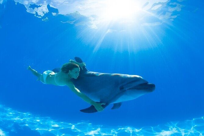 Must-DO The only and Unique Natural Space Dolphin Encounter Cabo - An In-Depth Look at the Dolphin Encounter Tour