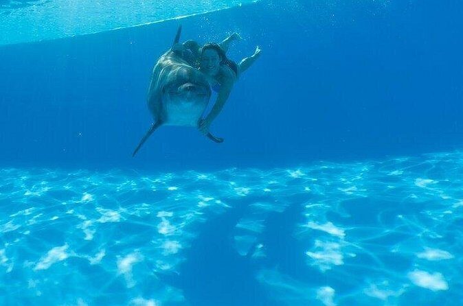 Must-DO The only and Unique Natural Space Dolphin Encounter Cabo - FAQ